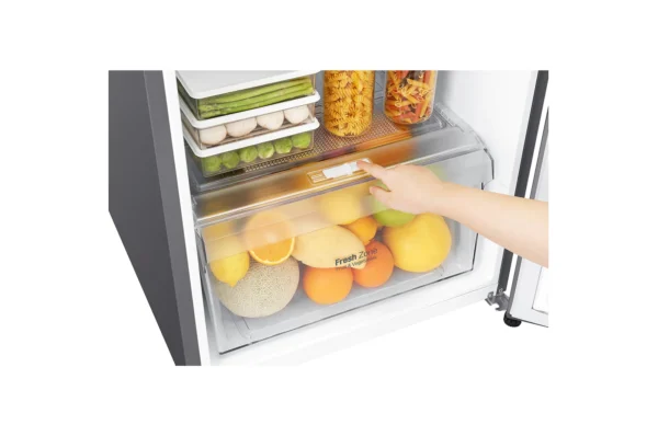 LG GN-G272SLCB 279L Top Freezer Refrigerator - Image 4